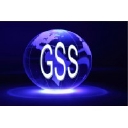 Global Security Solutions, Inc logo