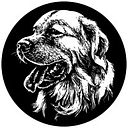 Glyptic Glass Art logo