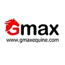 Gmax Technology Ltd logo