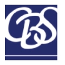 Capital Business Strategies logo