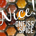 gneissspice.com logo