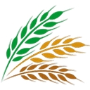 Greater Northwest Kansas Community Foundation