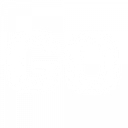 Go Evo logo