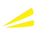 Accela Worldwide Solutions Inc. logo