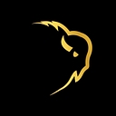 BISON Restoration Services