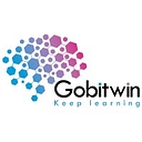 gobitwin.com logo