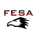 Team Fesa logo