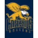 Canisius College Athletics logo