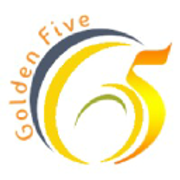 Golden Five Consulting logo