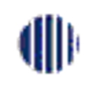 Golden Star Inc logo