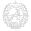 Goldenstarsboxing logo