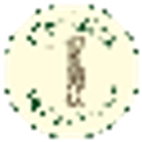 Pine Lakes Golf Club logo