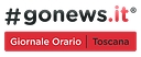 gonews.it logo