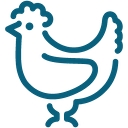 Good Foods Co Op logo