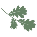 Favicon of Good Health Naturally