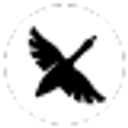block-goose-cli logo