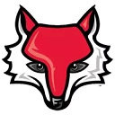 Marist College Department Of Athletics logo