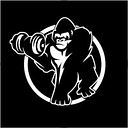 Gorilla Sports BE logo