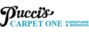 Pucci Carpet One Floor & Home logo