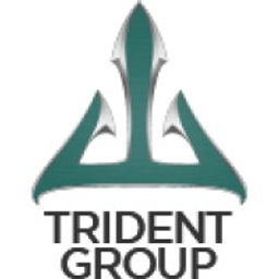 Trident Group America, Inc. logo