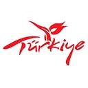 Go Türkiye logo