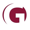 Govsolutions, Inc. logo