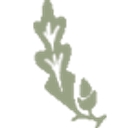 Graham Oates Associates logo