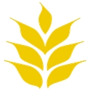 Grain Craft logo