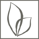 Grand Leisure Usa logo
