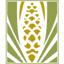 American Dental Companies