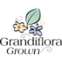 Grandiflora logo