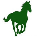grandnational.org.uk icon