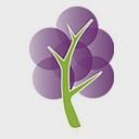 Grape Tree UK logo