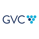 Grapevine Visual Concepts logo