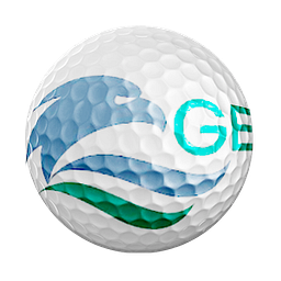 Gray Eagle Golf Club and Academy logo