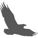 Gray Hawk Land Solutions logo