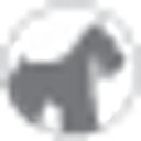 Gray Lady Foundation Inc logo