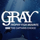 GRAY TAXIDERMY