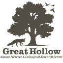 GREAT HOLLOW MANAGEMENT INC logo