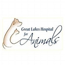 greatlakeshospital.net icon
