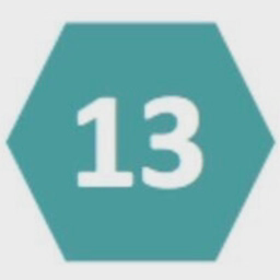 Green 13 Solutions Limited logo