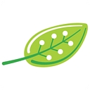 The Green Air Group LLC