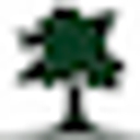Green MGMT