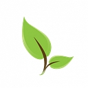 Green Dream Landscaping And Snow Removal logo