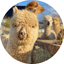 Green Gable Alpacas