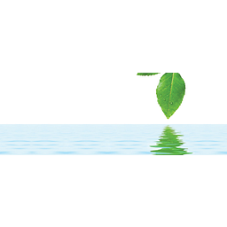 GreenMark Biomedical Inc. logo