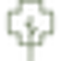 Green Mountain Surgery Center logo