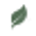 GREEN OASIS COUNSELING LLC