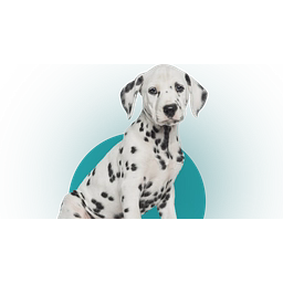 Greenwood veterinary clinic limited logo