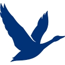 Logo for greygoose.com